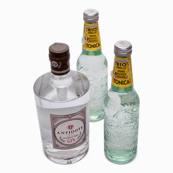 Billede af en flaske Gin og to flasker Tonic
