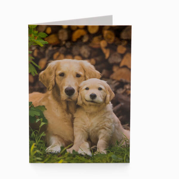 hundehvalpe-blomsterkort